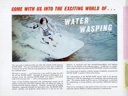 Water Wasp Brochure