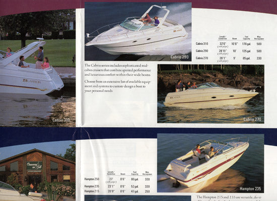 Larson 1997 Abbreviated Brochure