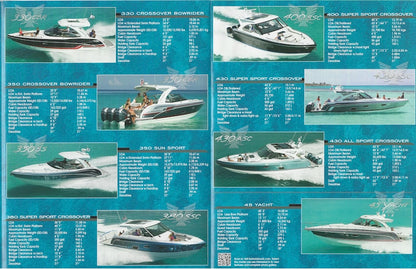 Formula 2020 Poster Brochure
