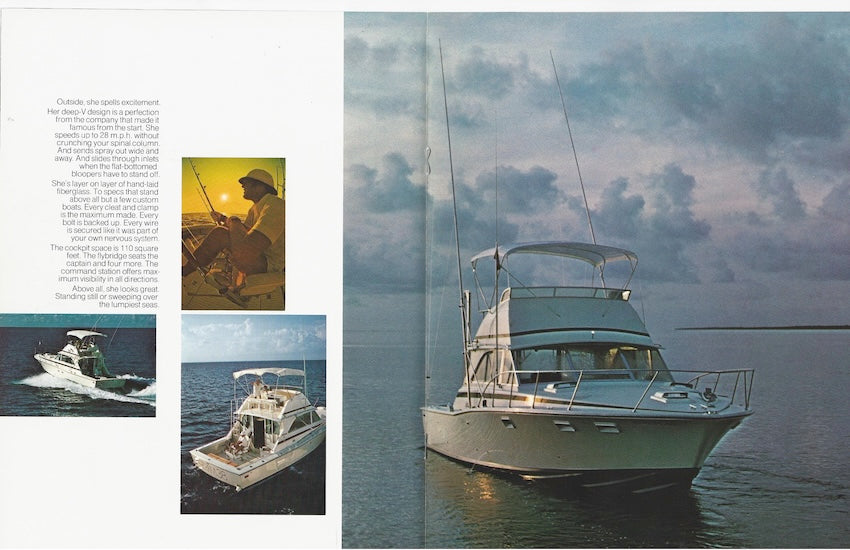 Bertram 38 Sport Fisherman Brochure