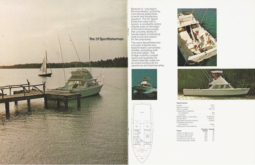 Bertram 31 Brochure