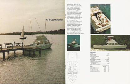 Bertram 31 Brochure