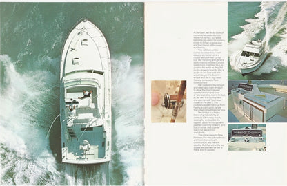 Bertram 42 Brochure