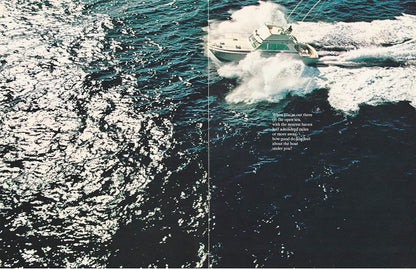Bertram 46 Brochure