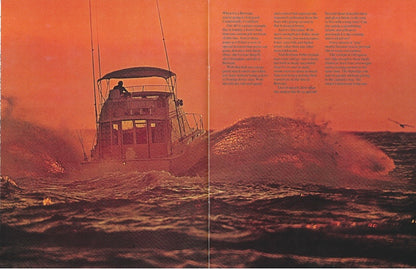 Bertram 46 Brochure