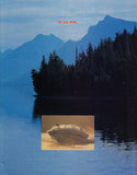 Wellcraft 1994 Excel Brochure