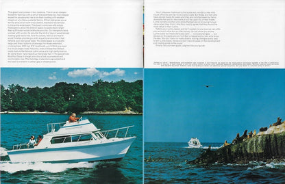 Luhrs 28 Flybridge Sedan Cruiser Brochure