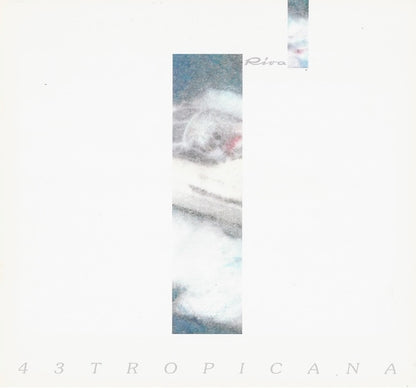 Riva Tropicana 43 Brochure