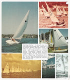 Barnett Butterfly Brochure