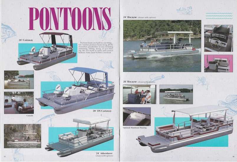 Landau 1989 Brochure