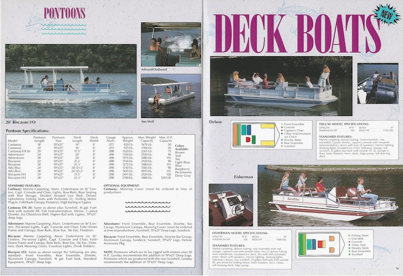 Landau 1989 Brochure