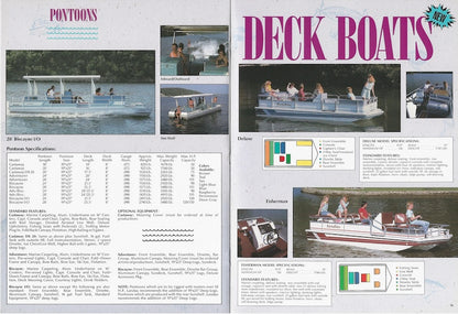 Landau 1989 Brochure