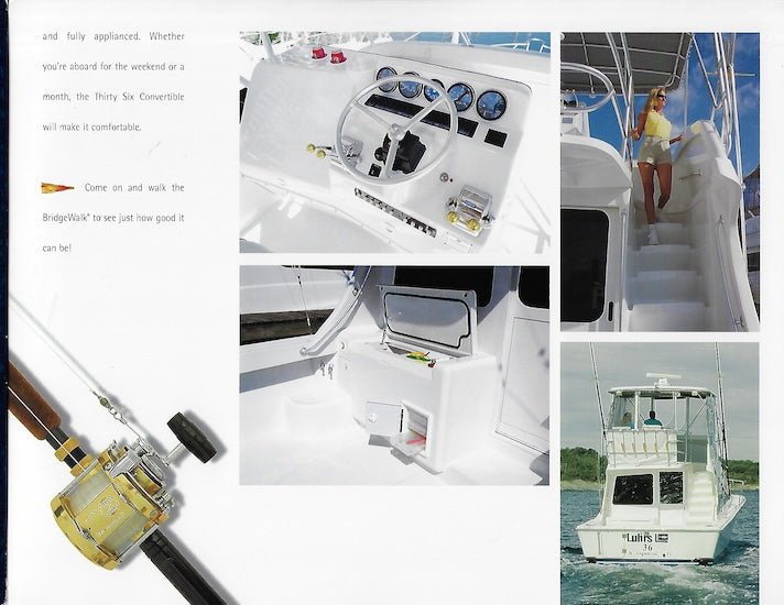 Luhrs 36 Convertible Brochure