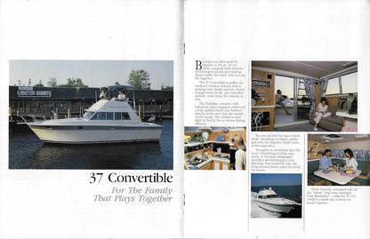 Silverton 1987 Brochure