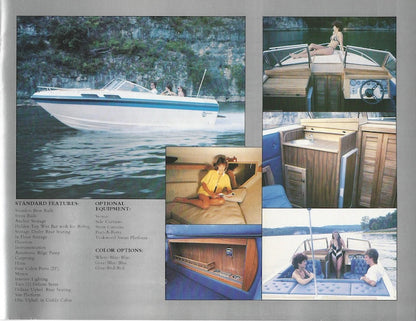 Landau 1985 Brochure