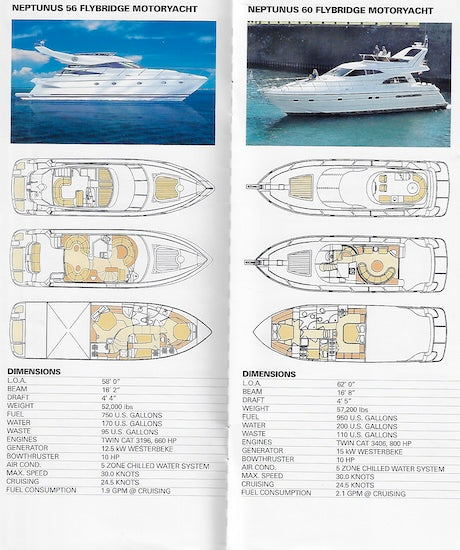 Neptunus 2001 Brochure