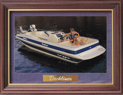 VIP Deckliner Brochure
