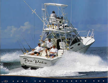 Albemarle 2002 Brochure