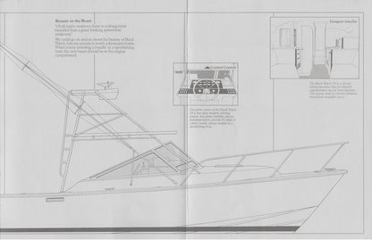 Black Watch 30 Brochure