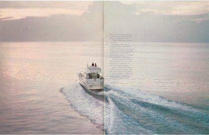 Bertram 42 Motor Yacht Brochure