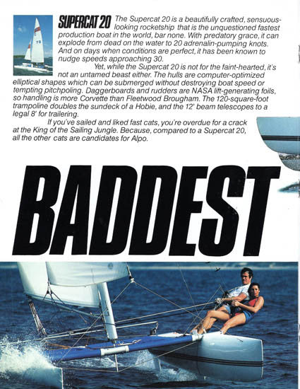 Boston Whaler Supercat Brochure