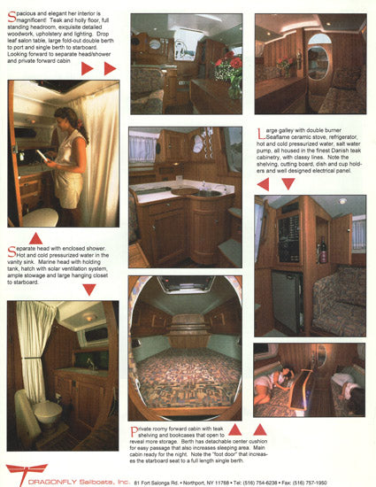 Dragonfly 1000 Swing Wing Brochure