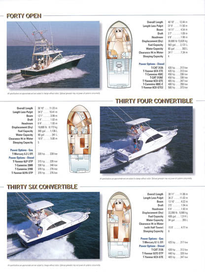 Luhrs 2003 Abbreviated Brochure