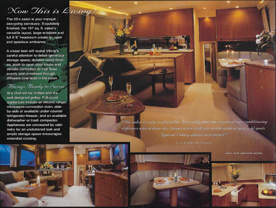 Viking 55 Convertible Brochure