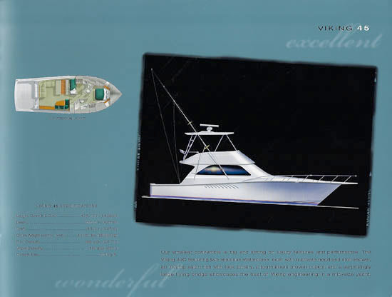 Viking 2002 Brochure