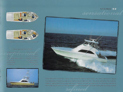 Viking 2002 Brochure