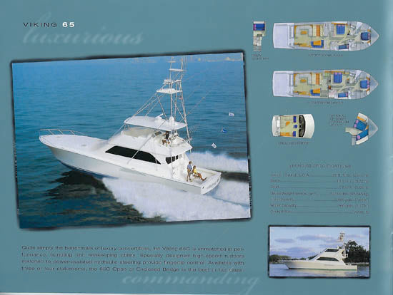 Viking 2002 Brochure