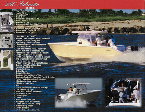 Palmetto 2002 Custom Brochure