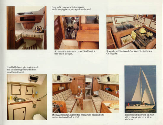 Cal 31 Brochure