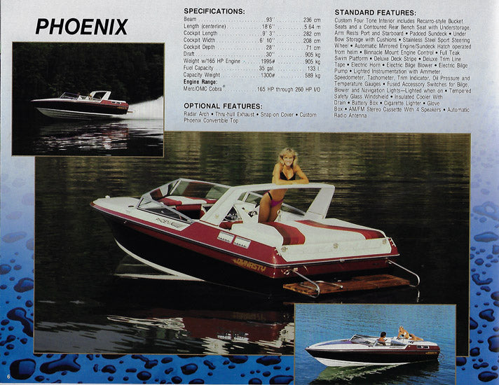 Dynasty 1988 Brochure