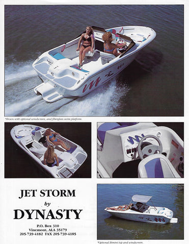 Dynasty Jet Storm Brochure