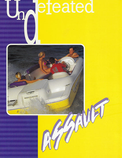 Dynasty Assault Brochure