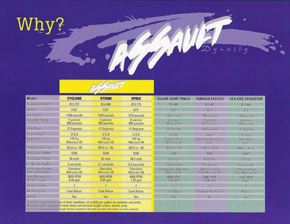 Dynasty Assault Brochure