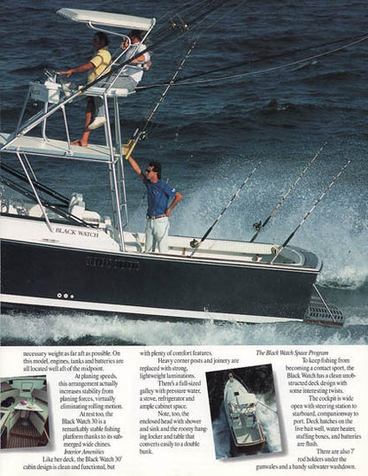 Black Watch 30 Brochure