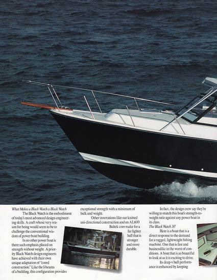 Black Watch 30 Brochure