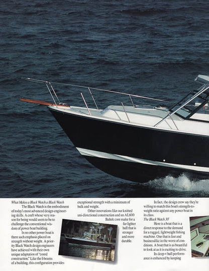 Black Watch 30 Brochure
