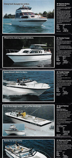 Penn Yan 1980 Poster Brochure