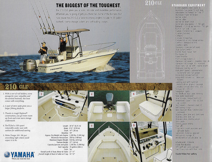 Triumph 2004 Brochure