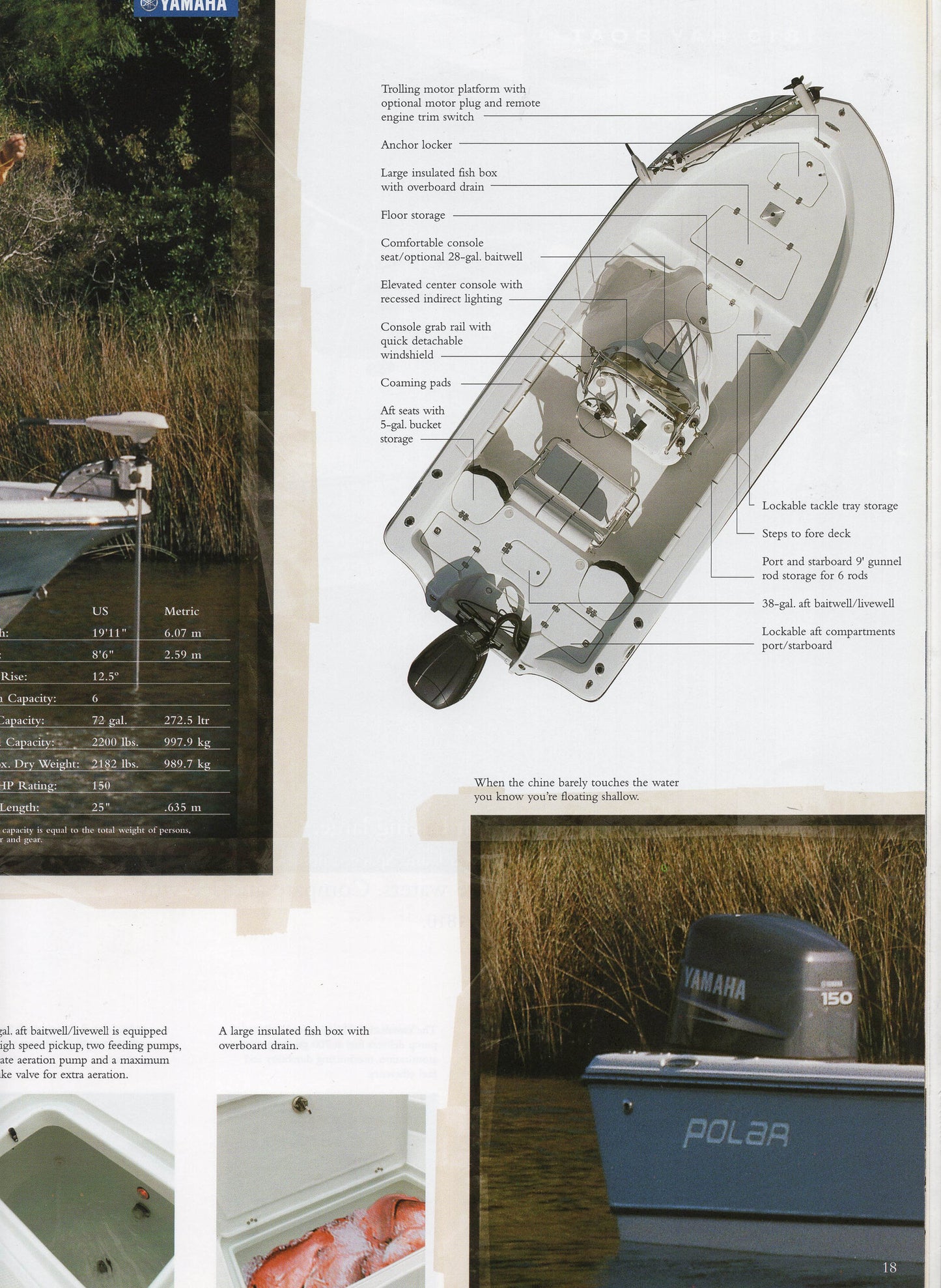 Polar 2004 Brochure