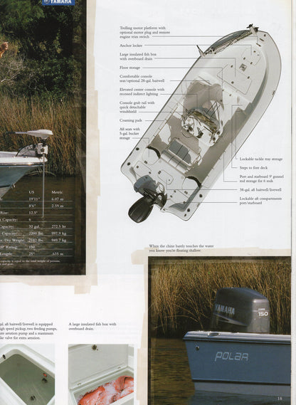 Polar 2004 Brochure