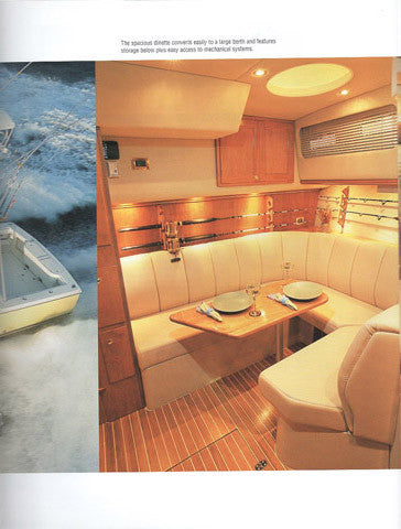 Rampage 38 Express Brochure