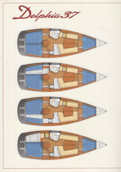Delphia 37 Brochure