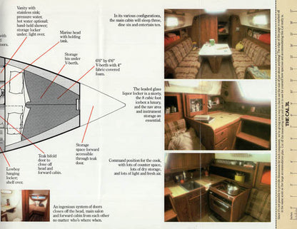 Cal 31 Brochure