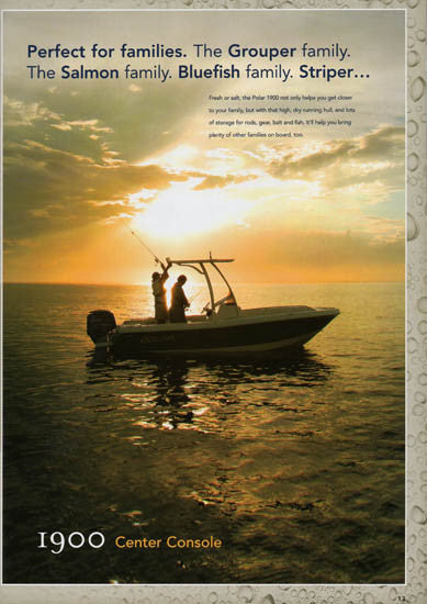 Polar 2006 Brochure