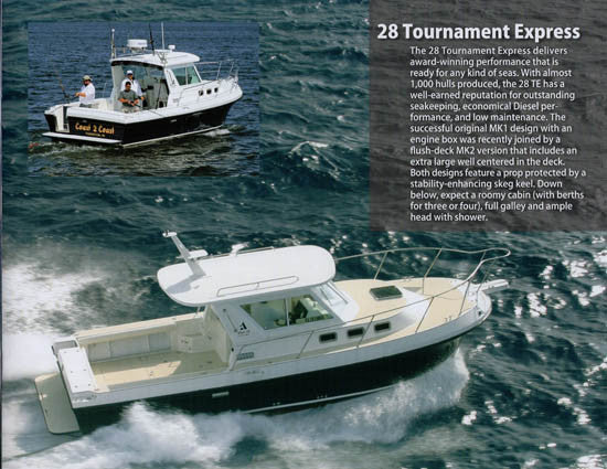 Albin 2006 Brochure