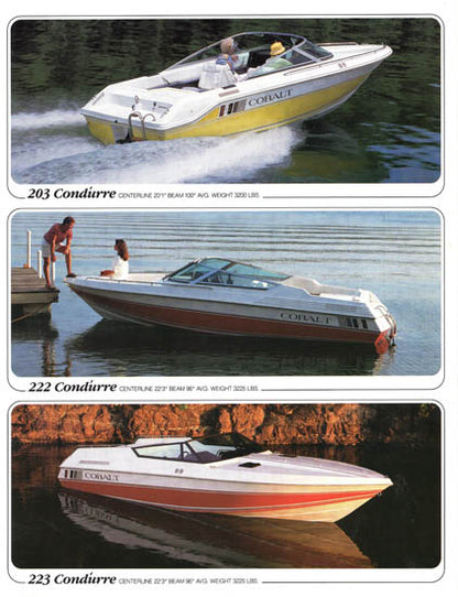 Cobalt 1989 Brochure